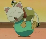 Cat Rinrin1