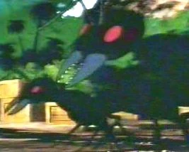 GiantAnt HB