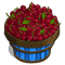 Cherry Basket-icon