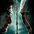 HP quiz TS PottVol.jpg