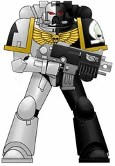 Omega Marine