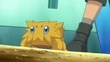 EP701 Joltik