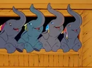 ElephantFinale