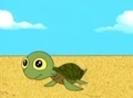 Young turtle.png