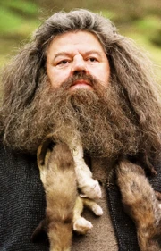 P3 Rubeushagrid