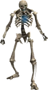 Skeleton (Lumbridge Catacombs)