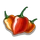 Habanero Chili-icon
