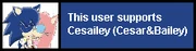 Userbox- Support Cesailey