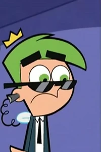 BodyGuard Cosmo