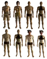 HumanTribals.png