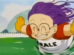 AraleRun