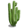 Mexico Cactus-icon