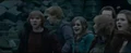 After harry reveals to be alive.jpg