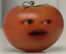 Tomato