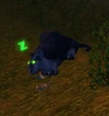 Mauti