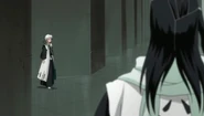 Reigai-Hitsugaya approaches Byakuya