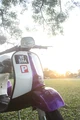 Thumbnail for version as of 17:31, July 12, 2011