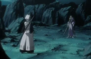 Toshiro Hitsugaya vs. Hyorinmaru