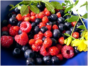 Summerbounty