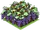 Grapes-icon