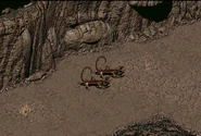 Randomscorpion