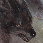 Wolven