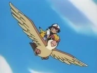 EP083 Pidgeot usando vuelo