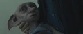 Harry holding dobby.jpg