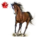 Item arabianstallion ruby 01.png