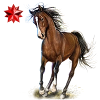 Huge item arabianstallion ruby 01.png
