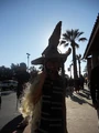 DSCN0694.JPG