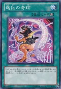 EvoMiracle-PHSW-JP-C