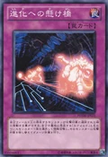 EvolutionaryBridge-PHSW-JP-C