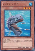 NeedleSunfish-PHSW-JP-C