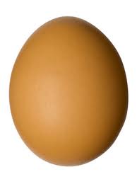 An_egg