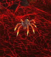Image of Cinderweb Skitterer