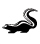 Skunk