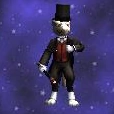Brown Rat Magician