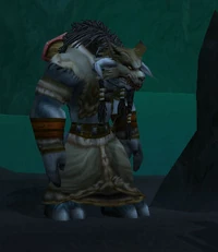 EarthenRingShaman