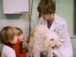 Animaldoctor