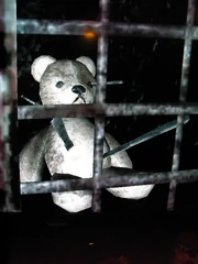 TeddyInPain1