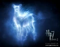 My patronus.jpg