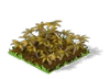Cassava Withered