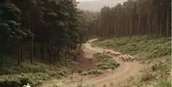 Band of Brothers episode 1