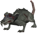 Giant crypt rat
