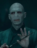 VoldDHP2Scene