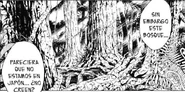 Bosque de Okawa
