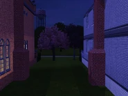 TheInbetween