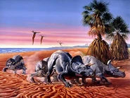1Triceratops