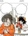 Bulmafindspanties